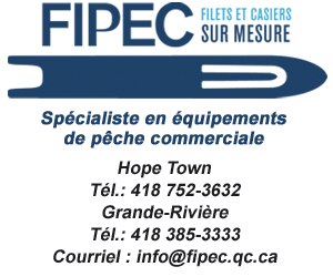 300 X 250 Fipec