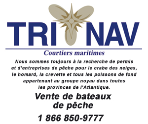 300 x 250 Trinav