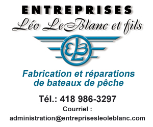 300 X 250 Entreprises Léo Leblanc