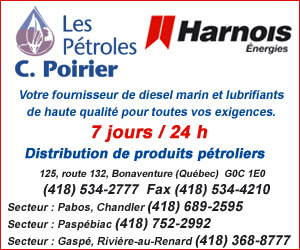 300 X 250 Harnois Énergies